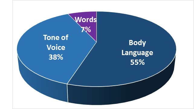 Effective Communication Pie Chart